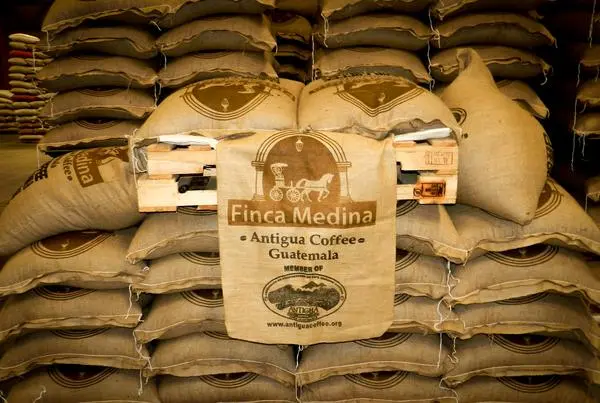 G_Finca_Medina_Edit_grande.jpg?type=w966