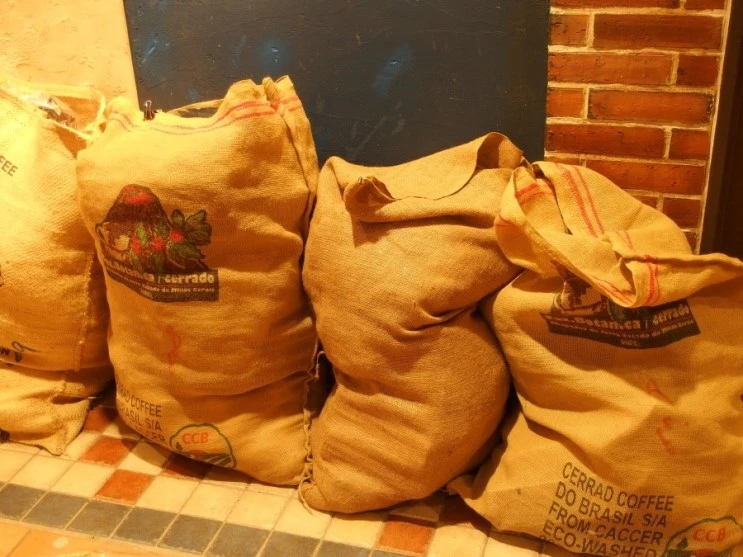 P5135020.JPG?type=w2