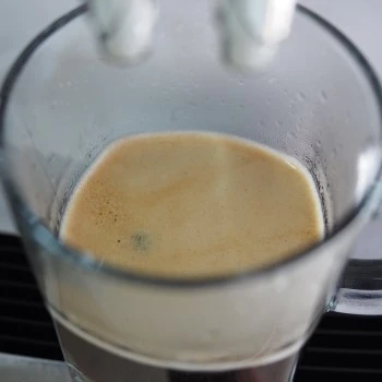 P8130387.JPG?type=w1