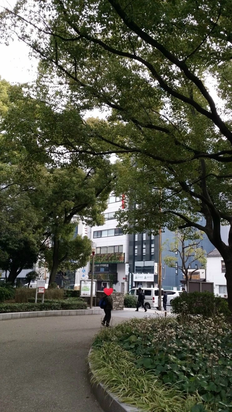 20150312_082549.jpg?type=w2