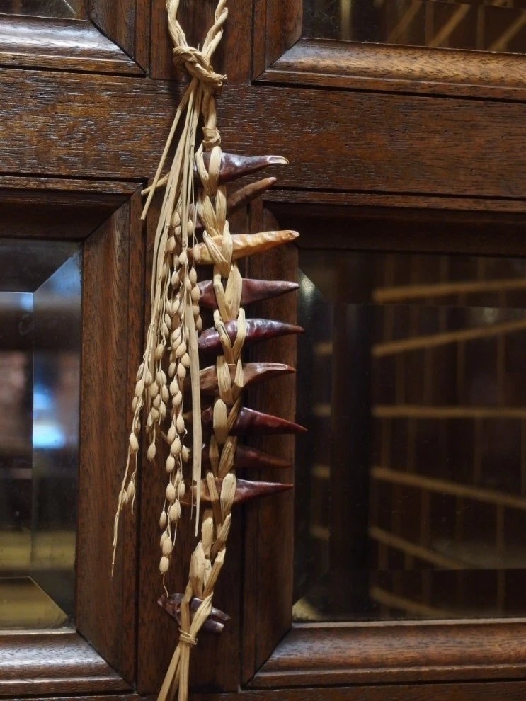 P9176938.JPG?type=w2