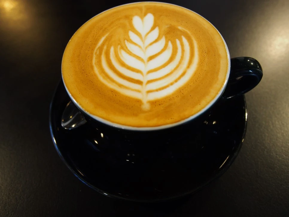 P3110432.jpg?type=w966