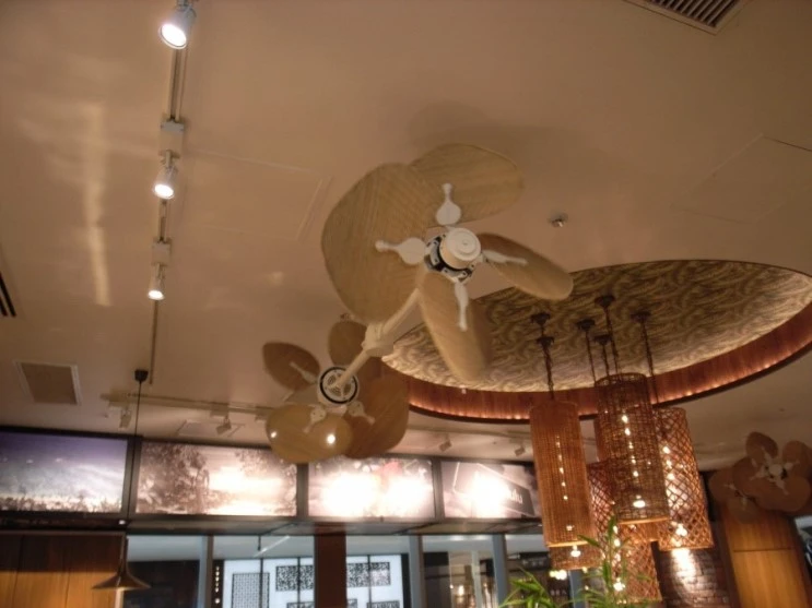 RIMG0119.JPG?type=w2