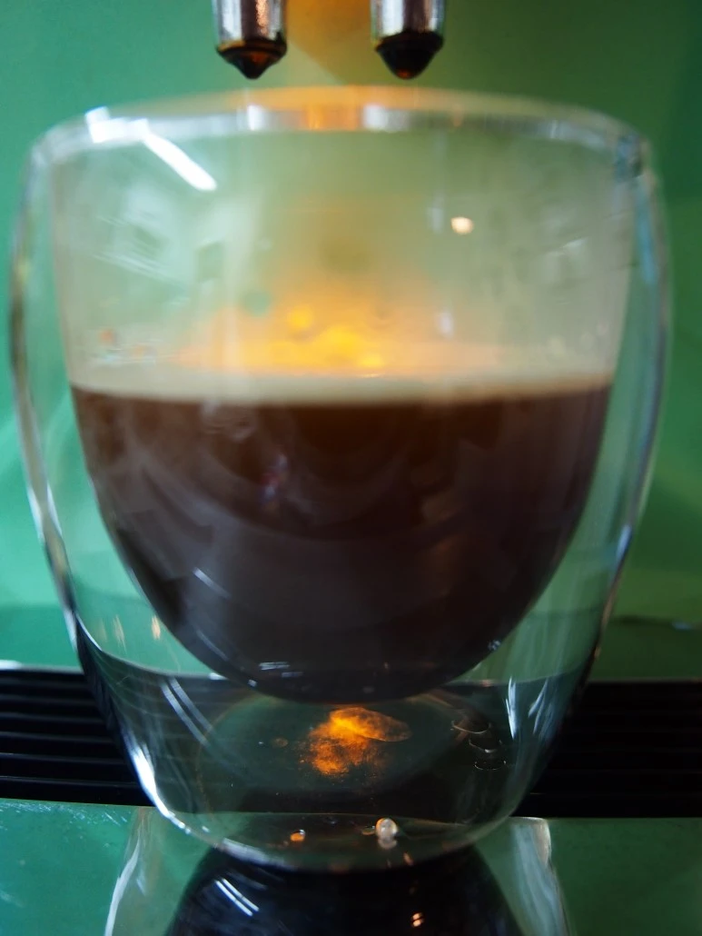 P5060321.JPG?type=w773