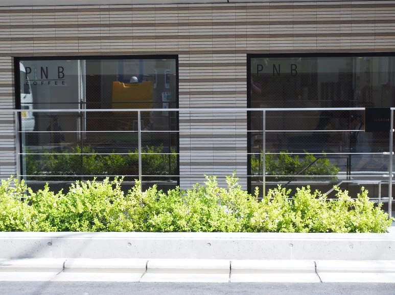 P9070203.JPG?type=w773