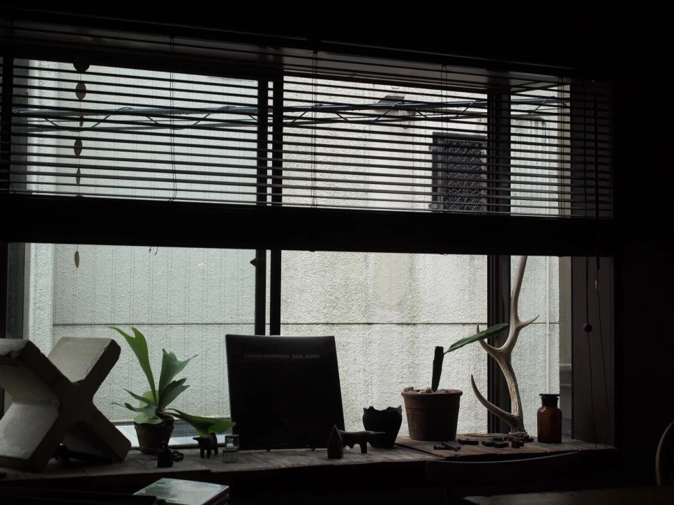 P4270438.JPG?type=w966