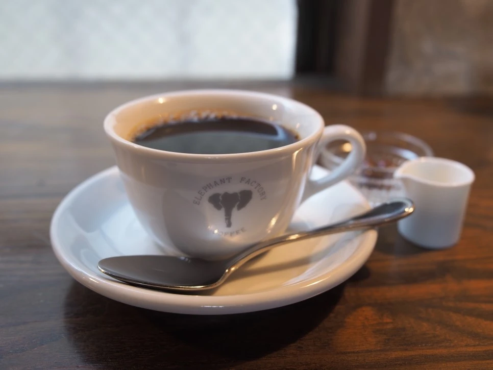 P4270457.JPG?type=w966