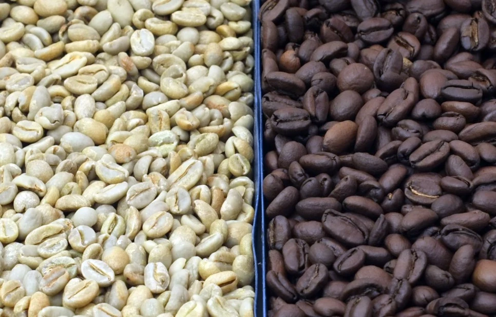 SE-a4a7c84d-e5f5-4841-b981-33f4346489db.jpg?type=w966