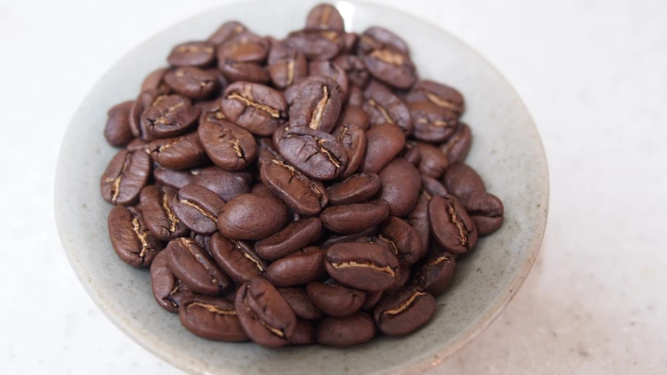 P8150415.JPG?type=w966