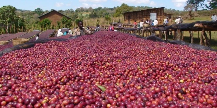 8380217324_46e6ba1360_o1-880x440.jpg?type=w1