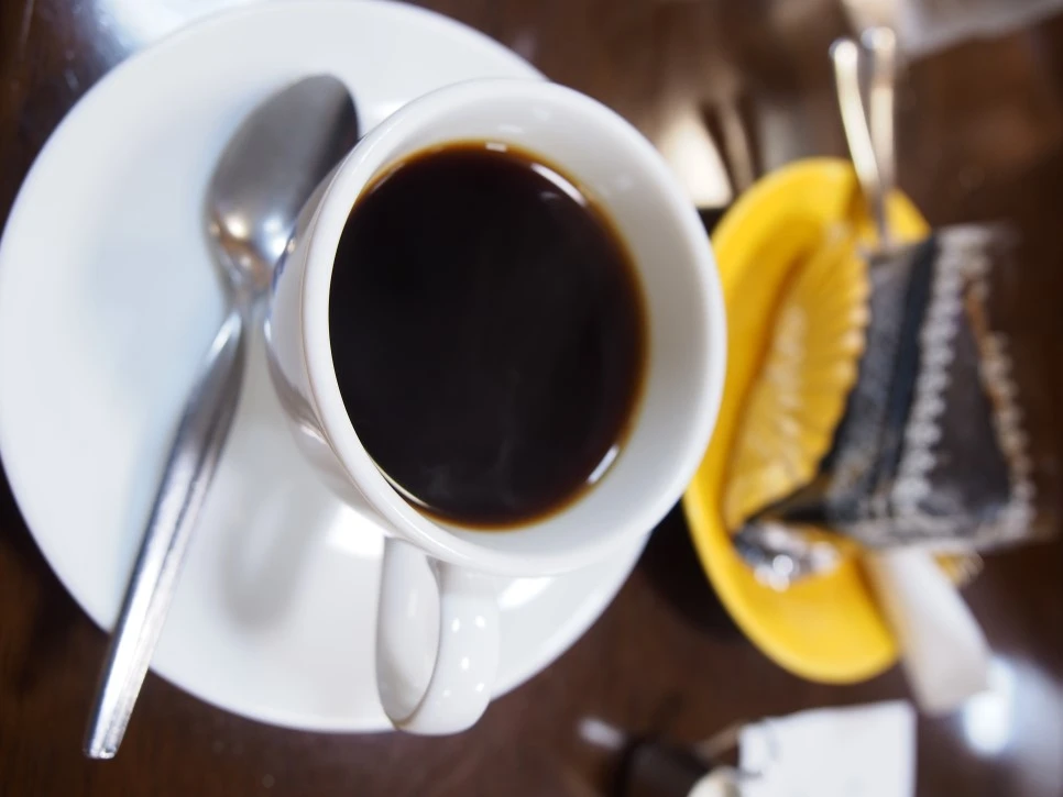 P4280759.JPG?type=w966