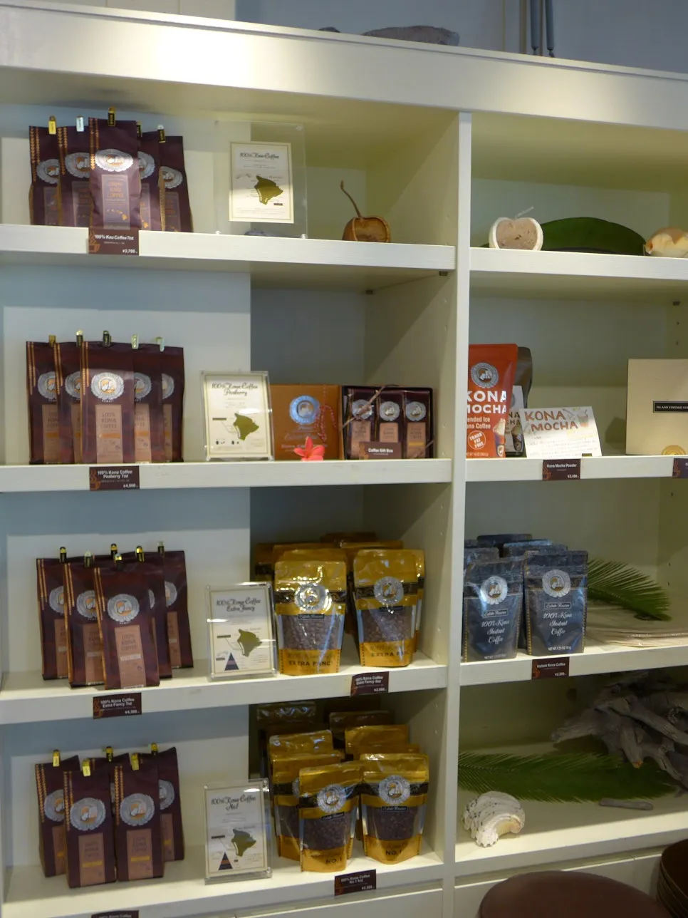 L1020605.JPG?type=w966