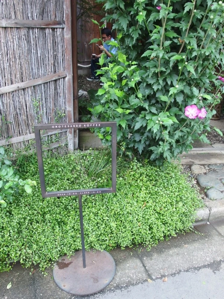 P7075798.JPG?type=w2