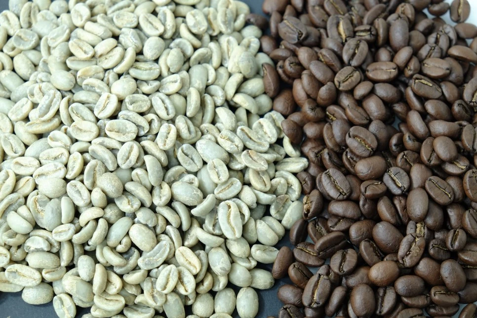 DSCF5490.JPG?type=w966