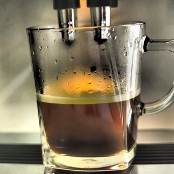 P8130381.JPG?type=w1