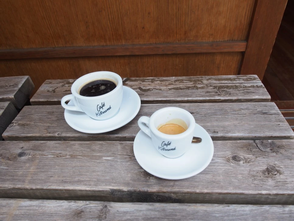 P5141476.JPG?type=w966