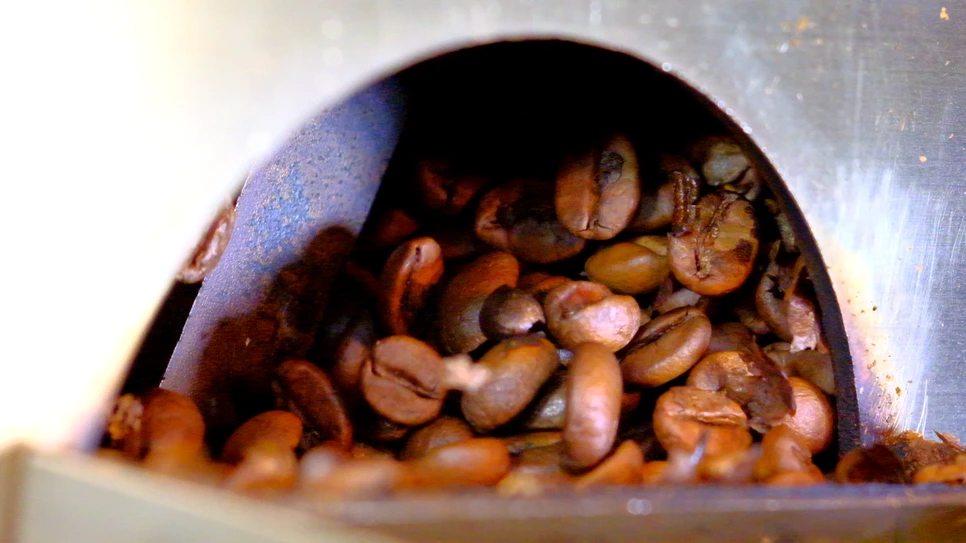 DSCF1984.MOV_000480413.png?type=w966