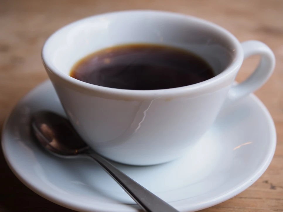 P4280731.JPG?type=w966