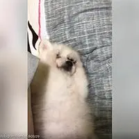 IgUMSzyUnl3XxIp0X5XbJia0_dRI.jpg?type=f200_200