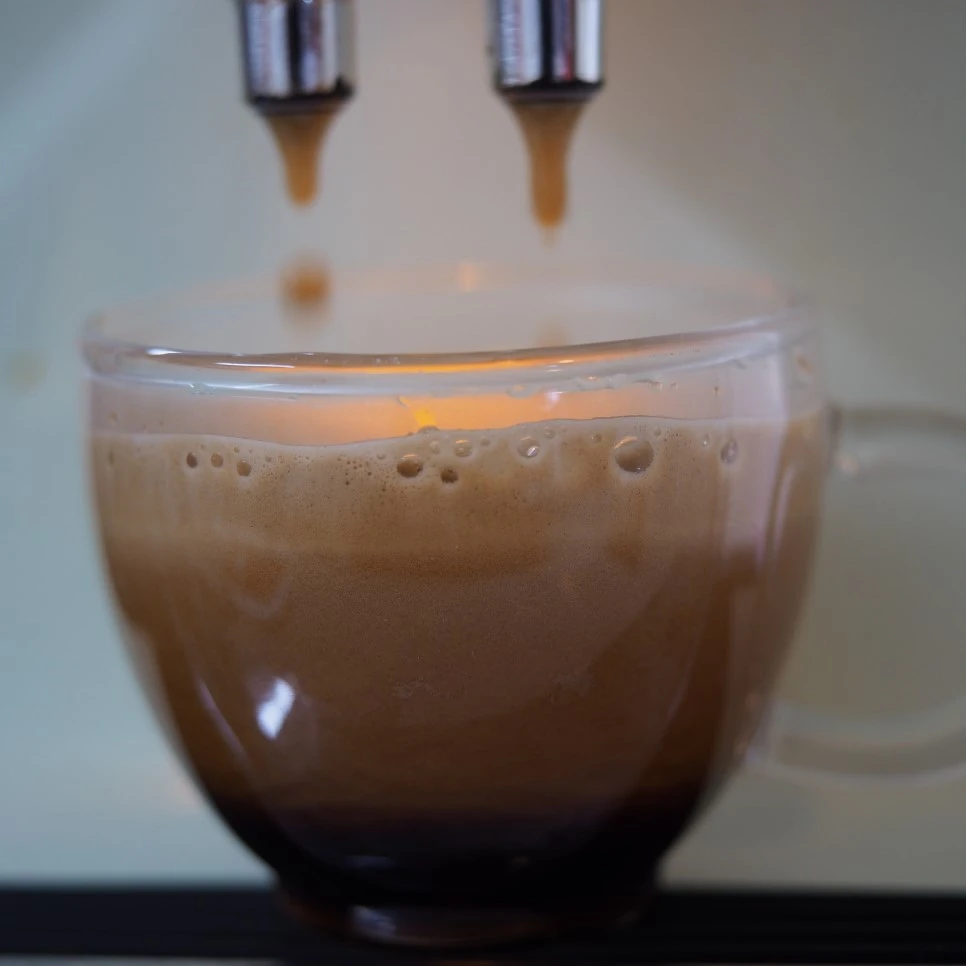 P3230304.jpg?type=w966