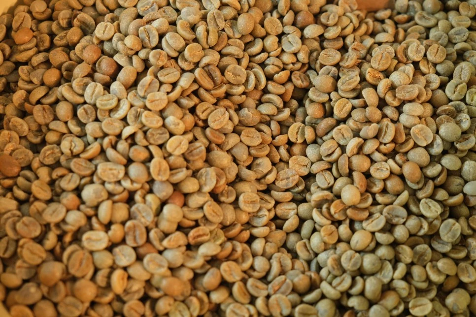 DSCF0172.JPG?type=w966