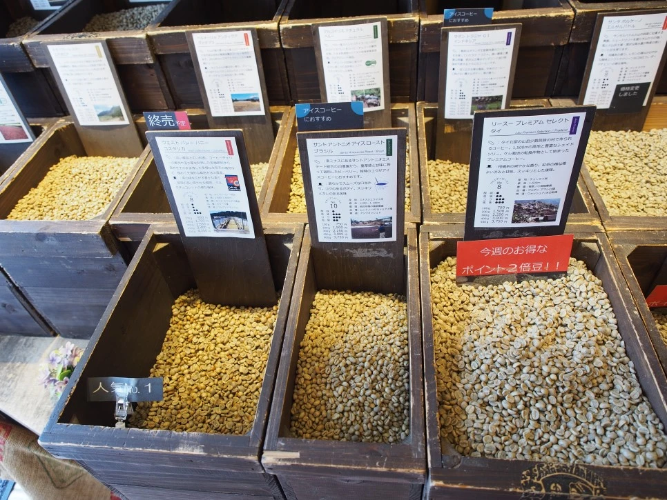 P9080412.JPG?type=w966