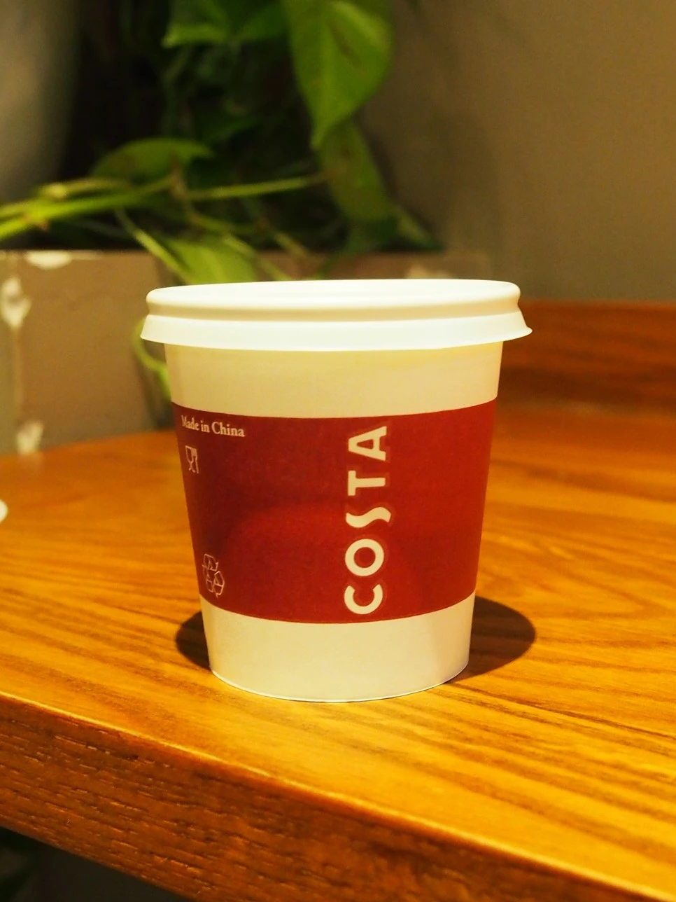 P1120244.JPG?type=w966