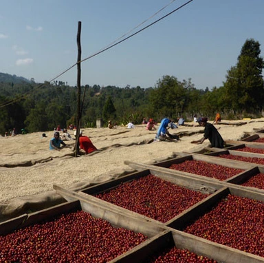 Screen_Shot_2015-07-30_at_8_13_24_AM_grande.png?type=w1