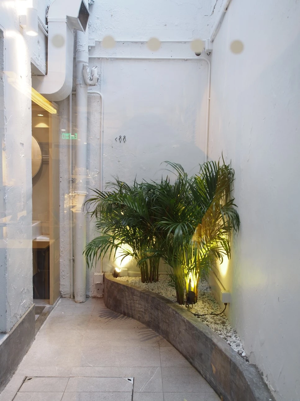 P6131965.JPG?type=w966