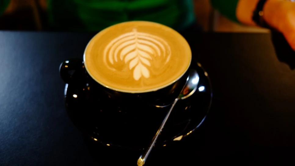 DSCF4330.jpg?type=w966