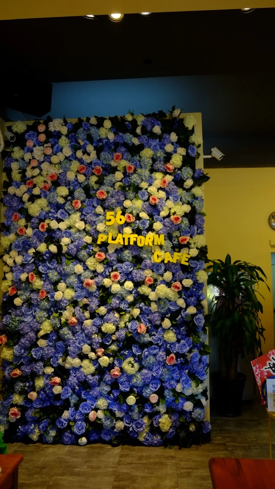 DSCF4147.JPG?type=w966