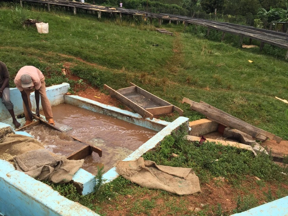 522f2c1897ace7013c01a006acde5009.jpg?type=w966