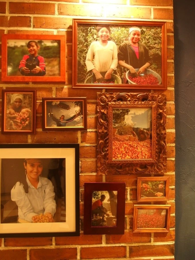 P5135017.JPG?type=w2