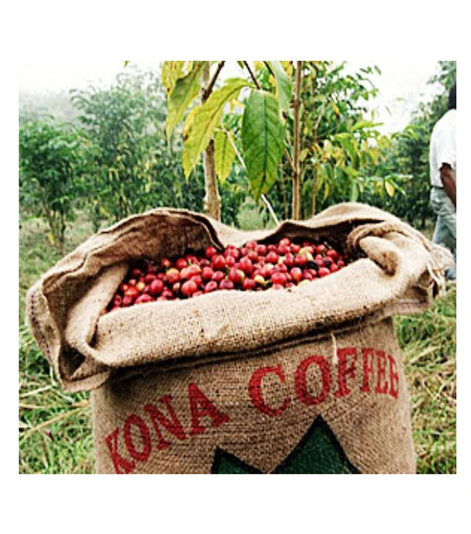 Hawaiin-Kona-Peaberry.jpg?type=w966