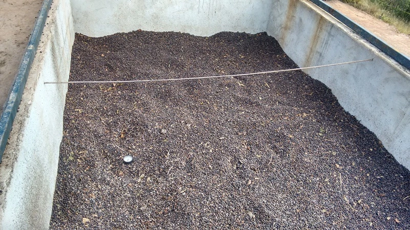 14-cafe-no-secador.jpg?type=w966