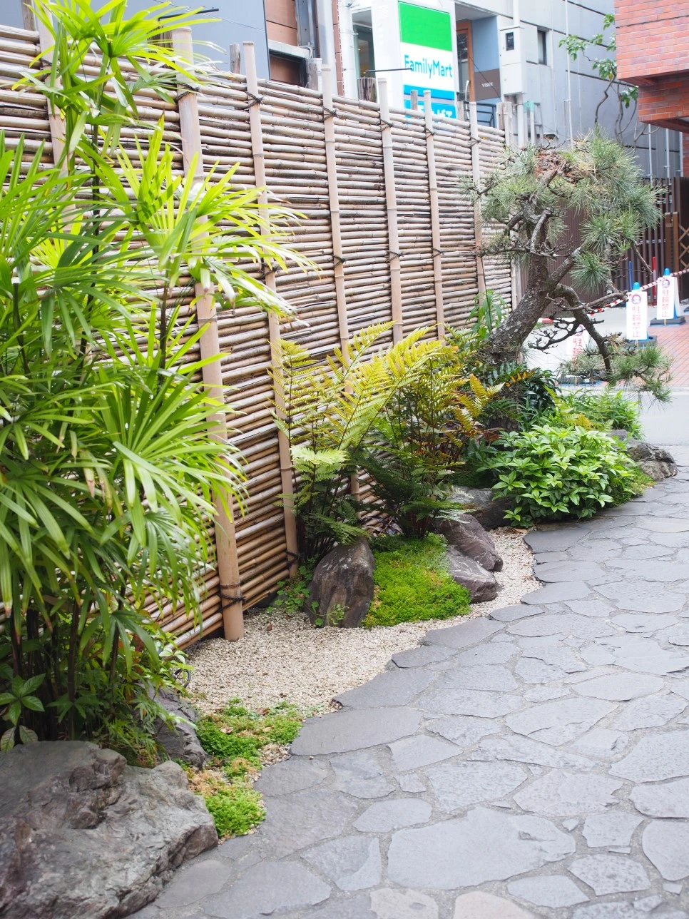 P5141481.JPG?type=w966