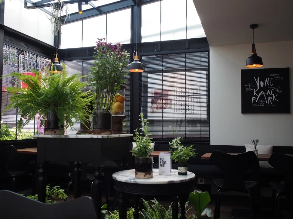 P3110364.JPG?type=w966