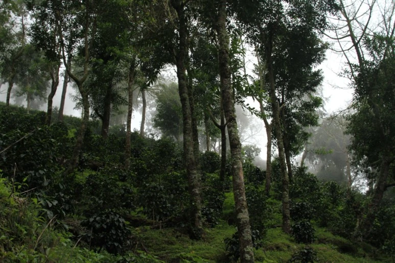 farm-trips-1.jpg?type=w773