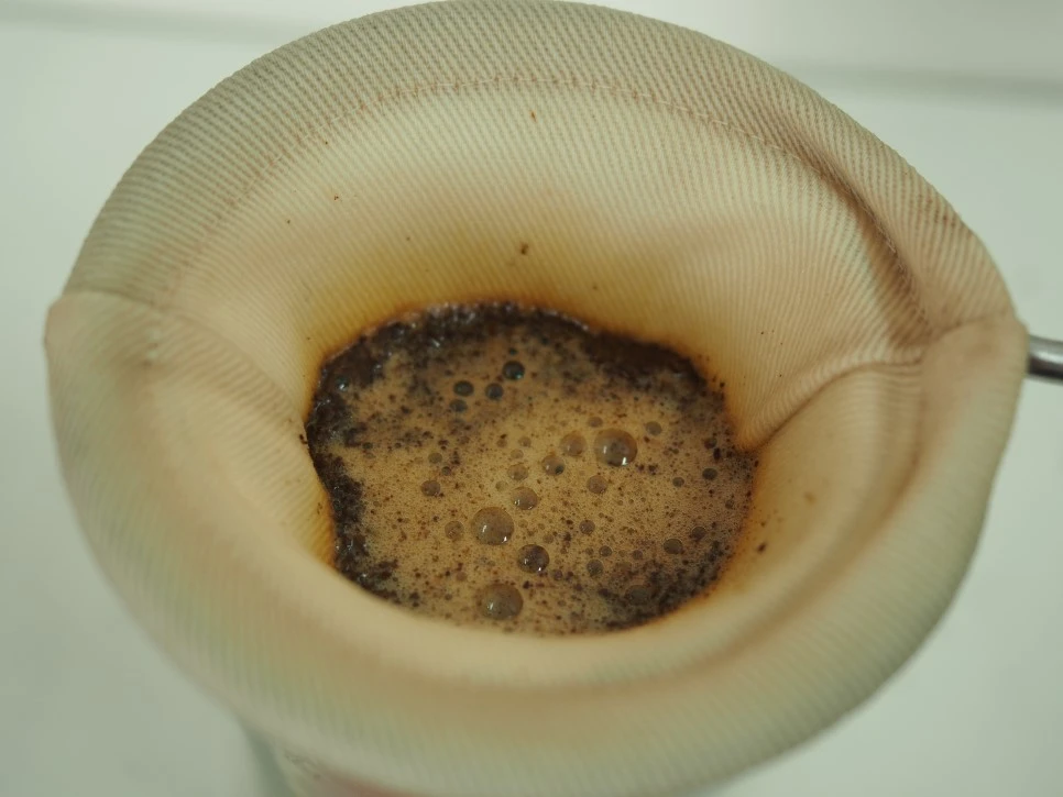 P5170088.JPG?type=w966