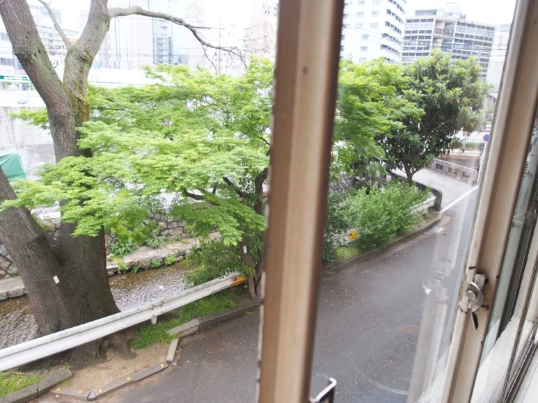 P4270342.JPG?type=w773