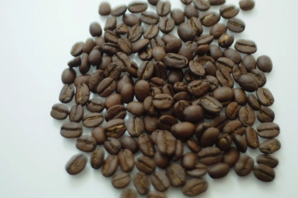 DSCF5518.JPG?type=w966