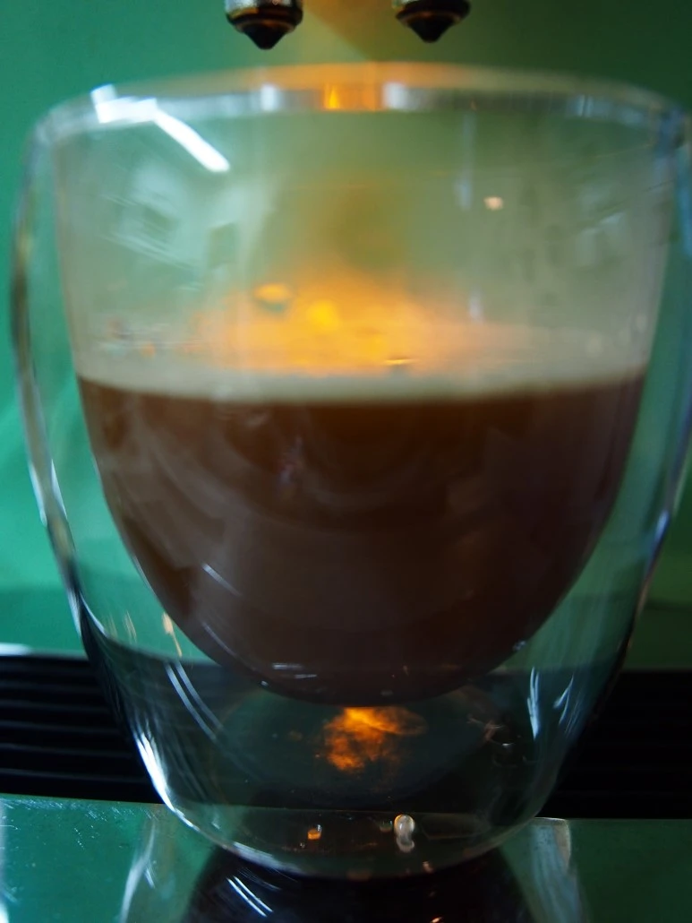 P5060319.JPG?type=w773