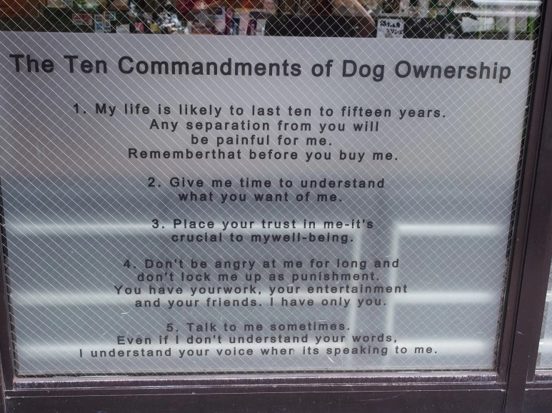 P9080384.JPG?type=w773