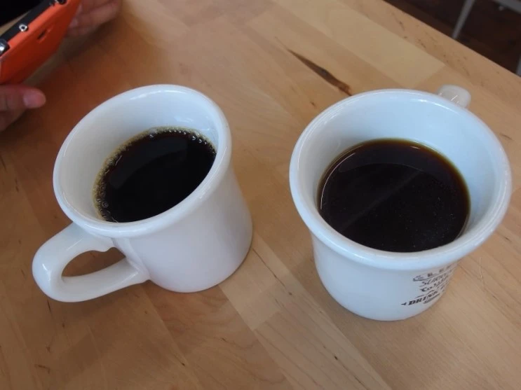 P9156634.JPG?type=w2