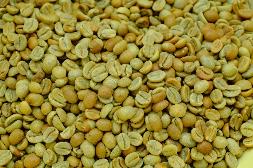 DSCF6909.JPG?type=w966