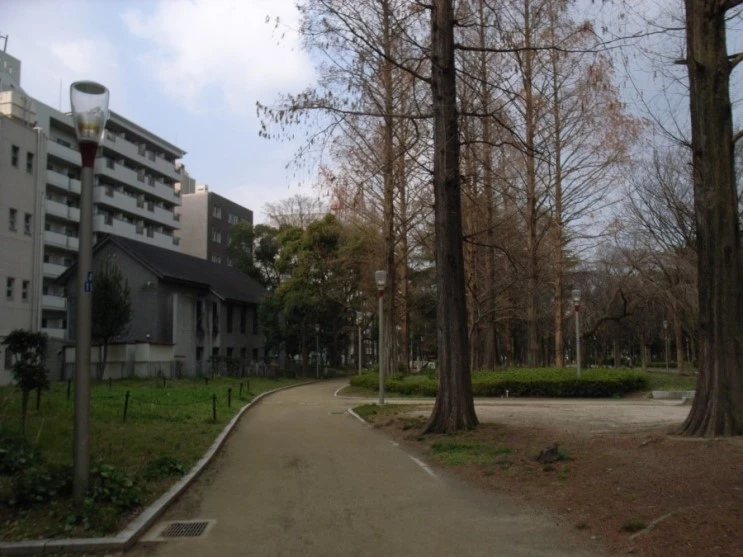 RIMG0149.JPG?type=w2