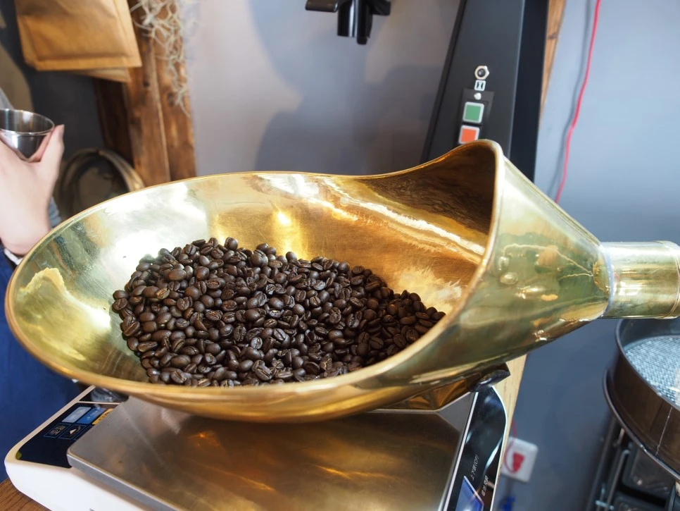 P4290990.JPG?type=w966