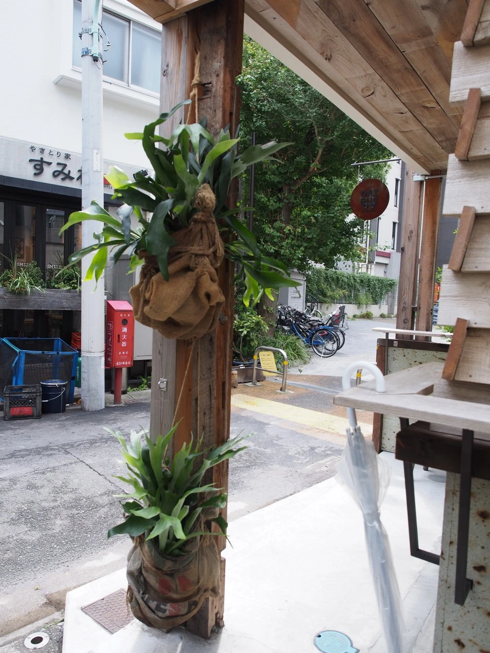 P9070098.JPG?type=w966