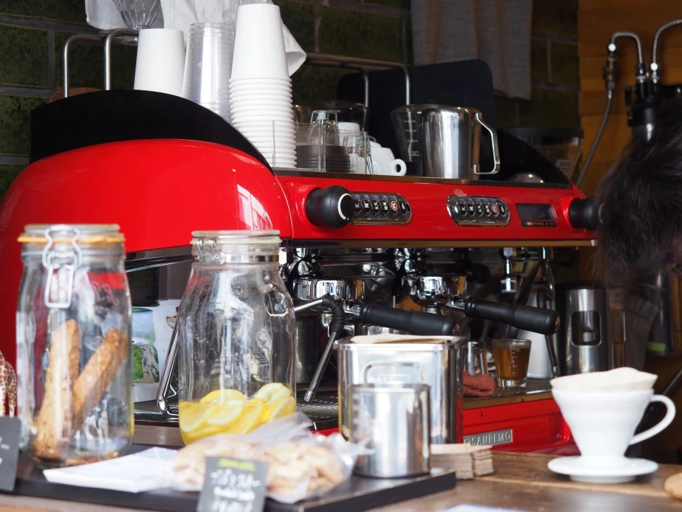 P5161668.JPG?type=w966