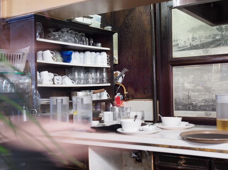 P9090519.JPG?type=w773